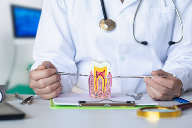 Best Knocked-Out Tooth Emergency  in Northview, MI